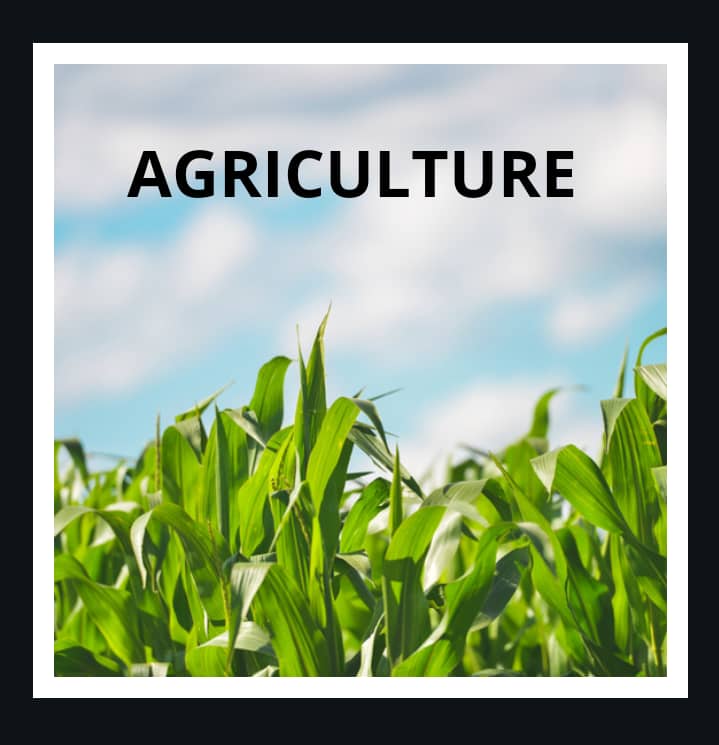 agriculture-lesson-ppt