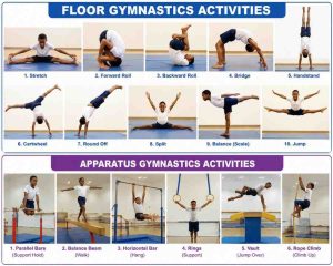 Basic Floor and Apparatus Gymnastic Activities 