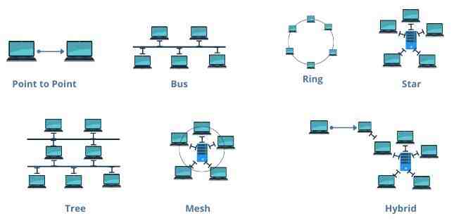 Network Topology