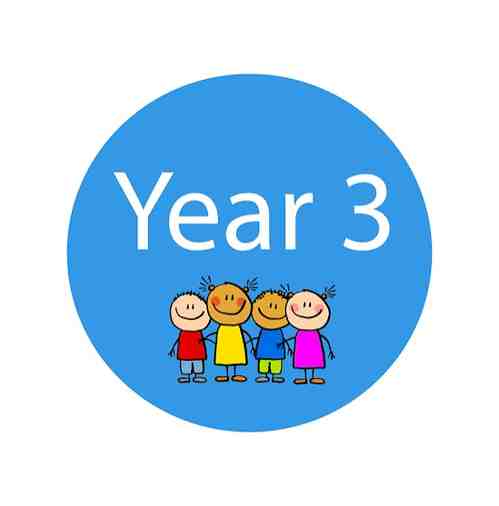 Primary 3 (Basic 3)