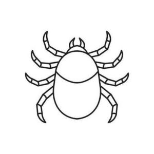 Tick